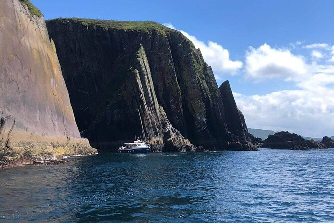 1 hour Dingle Bay Cliff Tour - Dingle Bay cliffs, compressed into an easy 1-hour outing