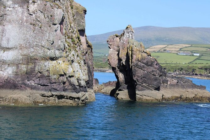 1 hour Dingle Bay Cliff Tour - Price and what you really get for $26.61