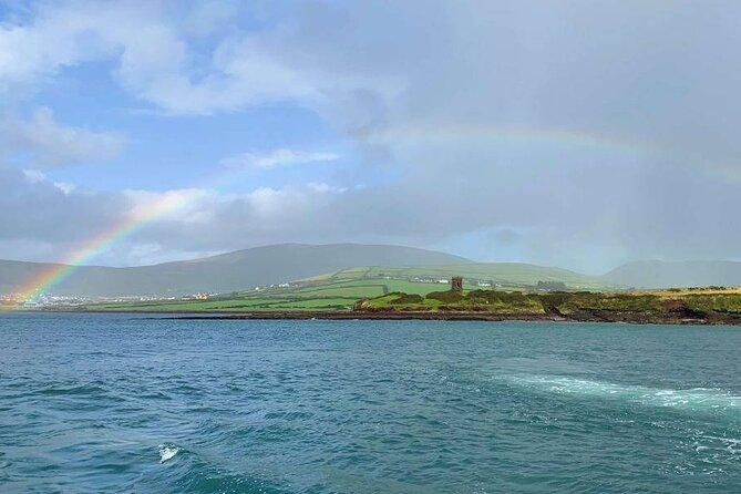 1 hour Dingle Bay Cliff Tour - Getting to Dingle Dolphin Boat Tours without stress