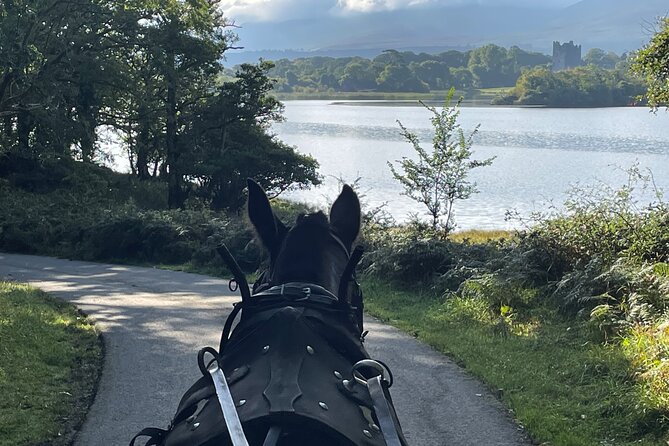 1 Hour Guided Carriage Tour in Killarney National Park - Lakes of Killarney: your main photo moment