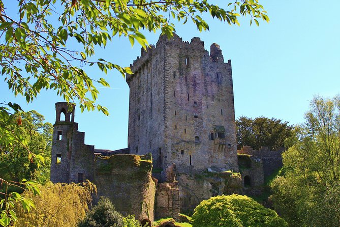 10-Day Ultimate Small-Group Tour of Ireland from Dublin - Sheepdogs, the Burren, and Cliffs of Moher from land and sea