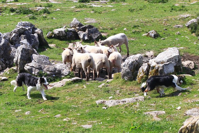 10-Day Ultimate Small-Group Tour of Ireland from Dublin - Galway walking tour, Connemara at Kylemore Abbey, then Westport