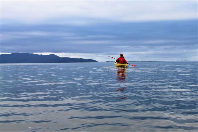 2.5 Hour Guided Sea Kayaking in Roundstone Bay - The Inishlacken island extension for more experienced kayakers