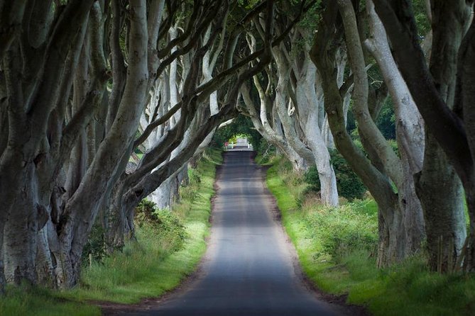 2-Day 'Game of Thrones' Rail Tour from Dublin Incl. Belfast and Giant's Causeway - Day 1 in Belfast: Hop-On Hop-Off Plus Titanic Belfast