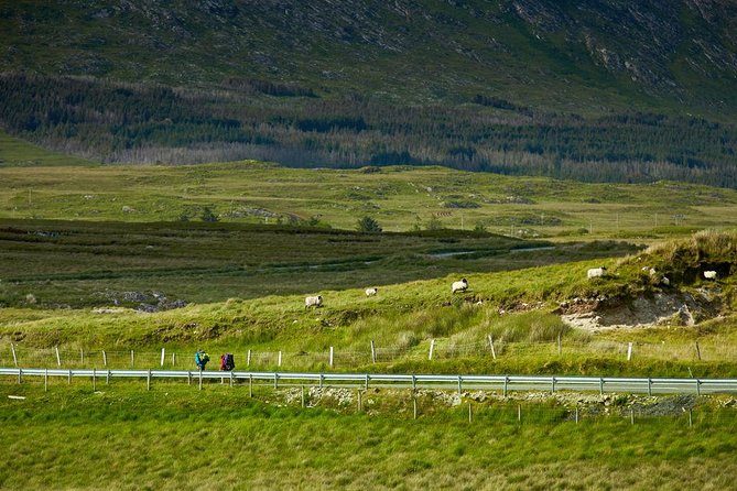 2-Day Western Ireland Tour from Dublin:Including Galway and Cliffs of Moher - Connemara drive through Maam Valley to Galway Bay, with photo chances built in