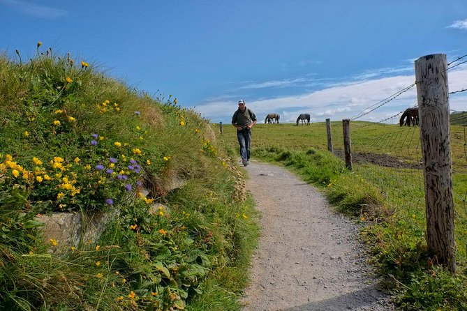 2-Day Wild Atlantic Way Tour From Dublin - The Doolin Pause and Lunch Choices (Plan Your Stomach)