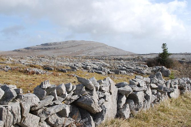 2-Day Wild Atlantic Way Tour From Dublin - Bus Swap, Overnight on the Dingle Peninsula, and Why That Matters