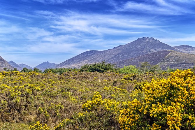 3-Day Discover Northern Ireland Small-Group Tour from Dublin - Where you sleep: en-suite base, included breakfast, and what evenings can feel like