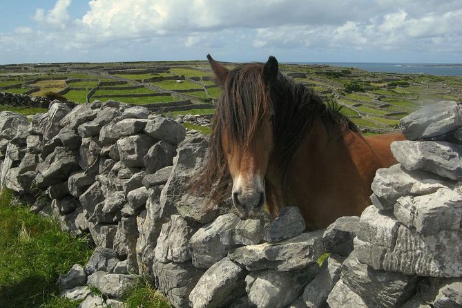 3-Day Southern Ireland Tour Including Galway and Kerry from Dublin - The Tours That Really Work Best for You