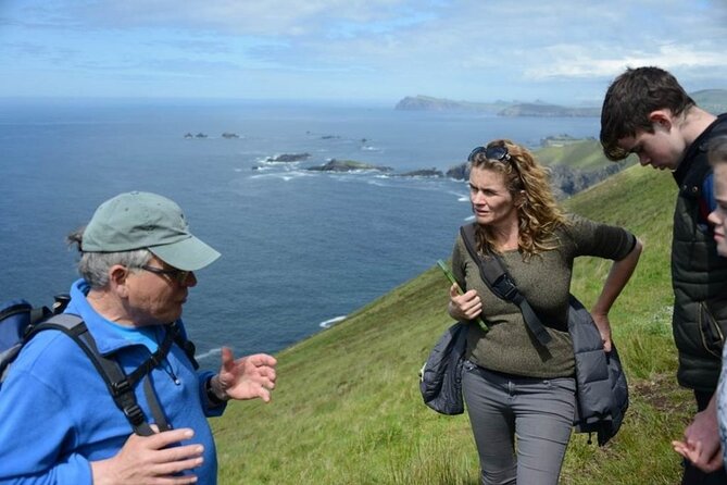 4 Hours Dingle Peninsula Private Tour - A Small-Group Private Ride for the Dingle Peninsula