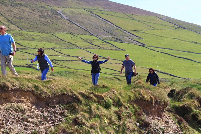 6-Day Magical Southern Explorer Small Group Tour - Day 4: Slea Head Drive Scenery Plus Flexible Dingle Shopping