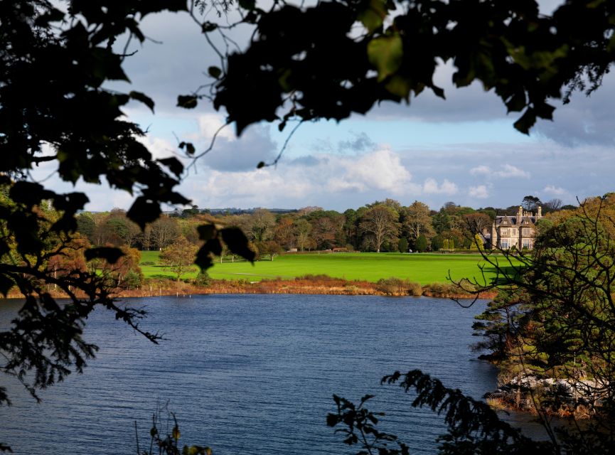 6-Day Tour of Southern Ireland from Dublin - Kilkenny stop: the change of pace that breaks up the road time