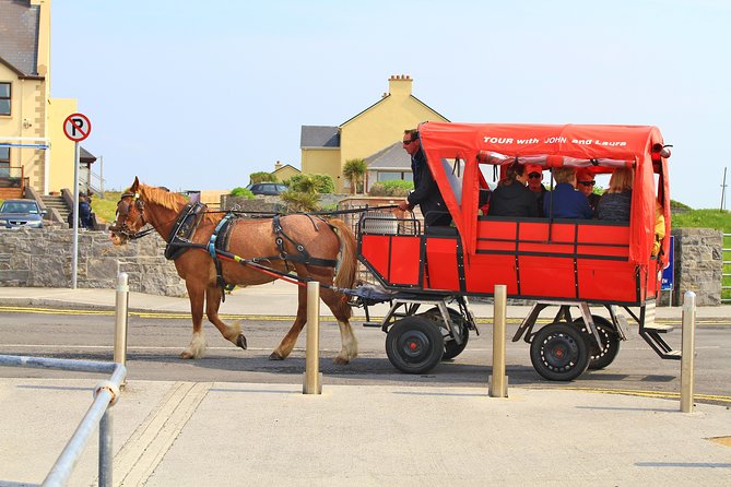 8 Day Emerald Explorer Small Group of tour of Ireland - Burren Farm Safari Into Galway City Life
