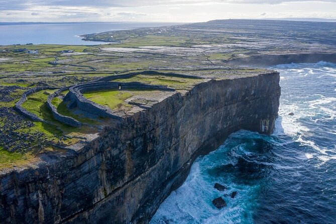 Aran Islands and Cliffs of Moher Day Cruise sailing from Galway City Docks - Wildlife sightings you can actually plan for