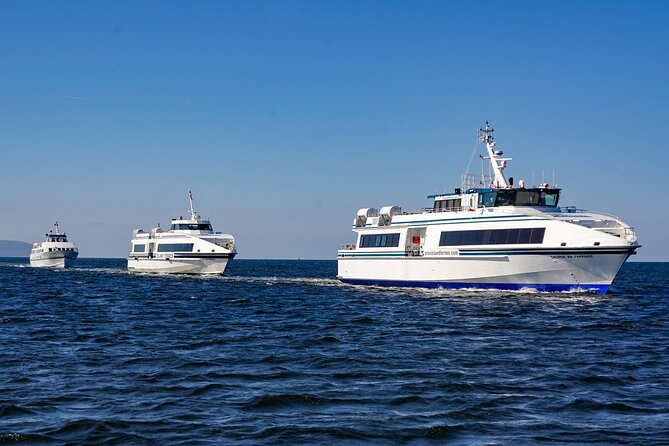 Aran Islands and Cliffs of Moher Day Cruise sailing from Galway City Docks - Inish Mór (Inis Mór): 4.5 hours to explore your own way