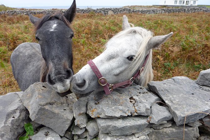 Aran Islands Scenic Flight and Galway Rail Tour from Dublin - The long-day reality check: value versus time in transit