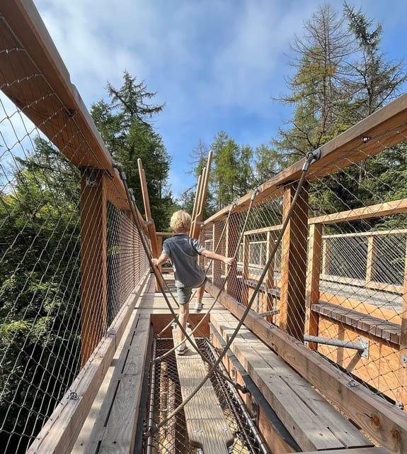 Avondale: Beyond the Trees Treetop Walk & Tower Entry Ticket - Should you book the Avondale Treetop Walk and Tower?