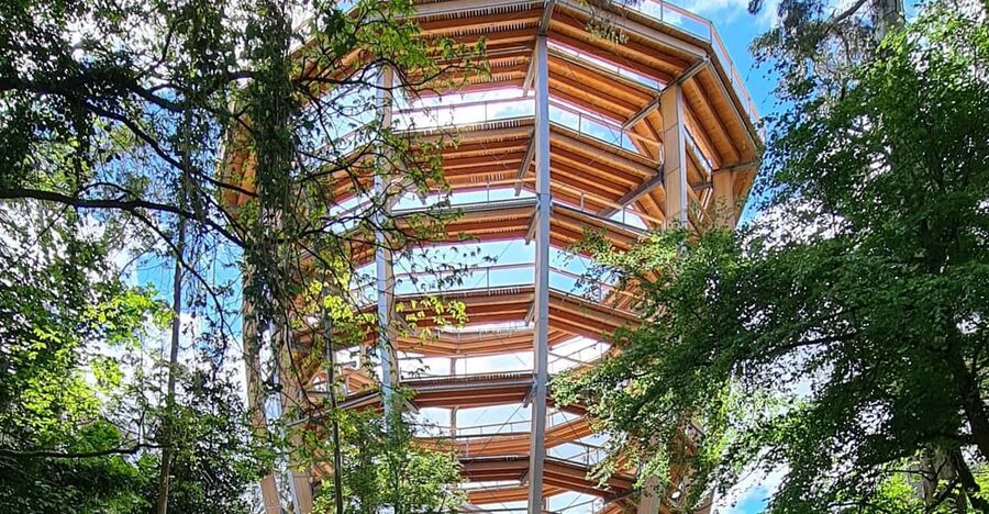 Avondale: Beyond the Trees Treetop Walk & Tower Entry Ticket - The tunnel moment, then the tower ramp climb to 38 meters