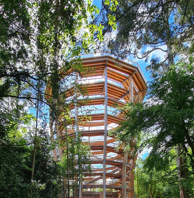 Avondale: Beyond the Trees Treetop Walk & Tower Entry Ticket - The view, the slide, and how to manage the best timing