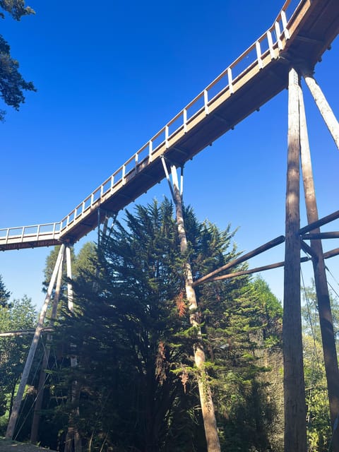 Avondale: Beyond the Trees Treetop Walk & Tower Entry Ticket - What you can do after the treetop walk, not just before it