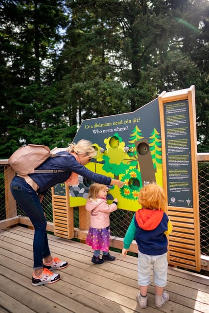 Avondale: Beyond the Trees Treetop Walk & Tower Entry Ticket - Price and value, plus the small costs that can surprise you