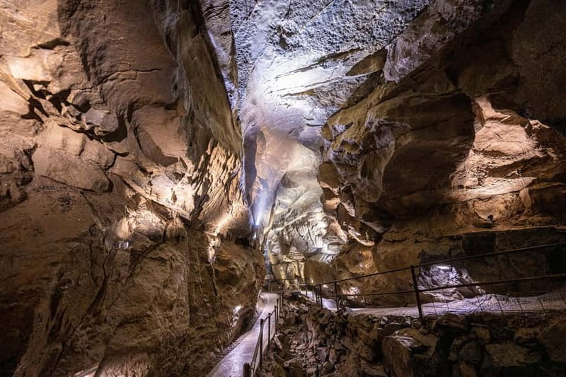 Ballyvaughan: Aillwee Burren Experience Entry Ticket - Key things to know before you go