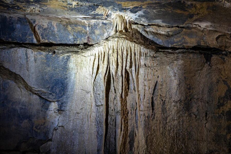 Ballyvaughan: Aillwee Burren Experience Entry Ticket - FAQ