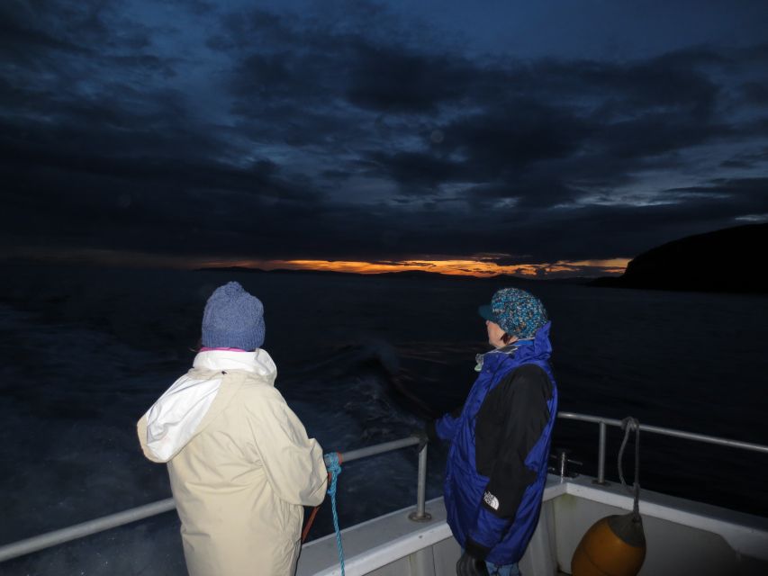 Baltimore Harbor: Sunset Cruise to Fastnet Rock Lighthouse - Practical tips so you enjoy it, even if the sea is active