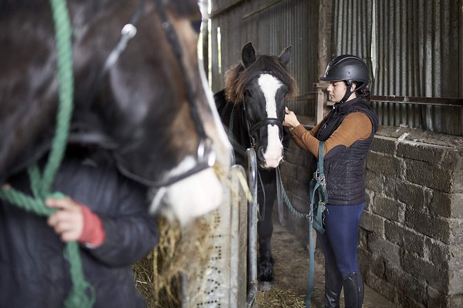 Beach & countryside horse riding outside Westport. Guided. 1 hour - Where You Meet and What Happens at Carrowholly Stables
