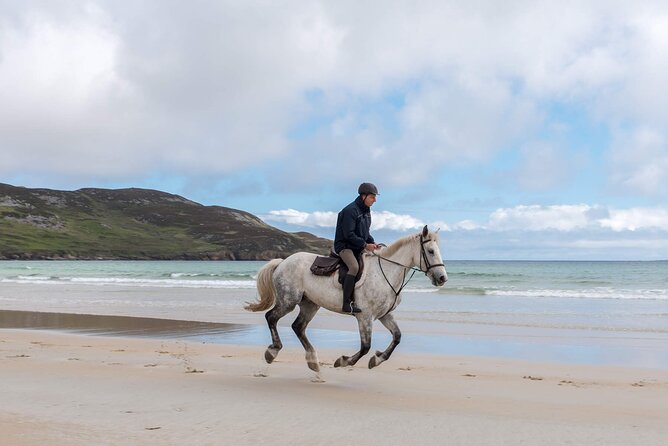 Beach & countryside horse riding outside Westport. Guided. 1 hour - Price and Value: What $102.58 Is Buying You