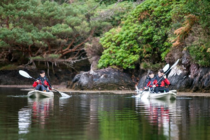 Beautiful Southwest Tour 2022 - Timoleague to Glengarriff, then Garnish Island by ferry