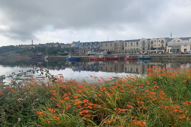 Belmullet Small-Group Walking Tour (AlchemyTours.ie) - Crossing the Canal and Seeing Old Town Wells