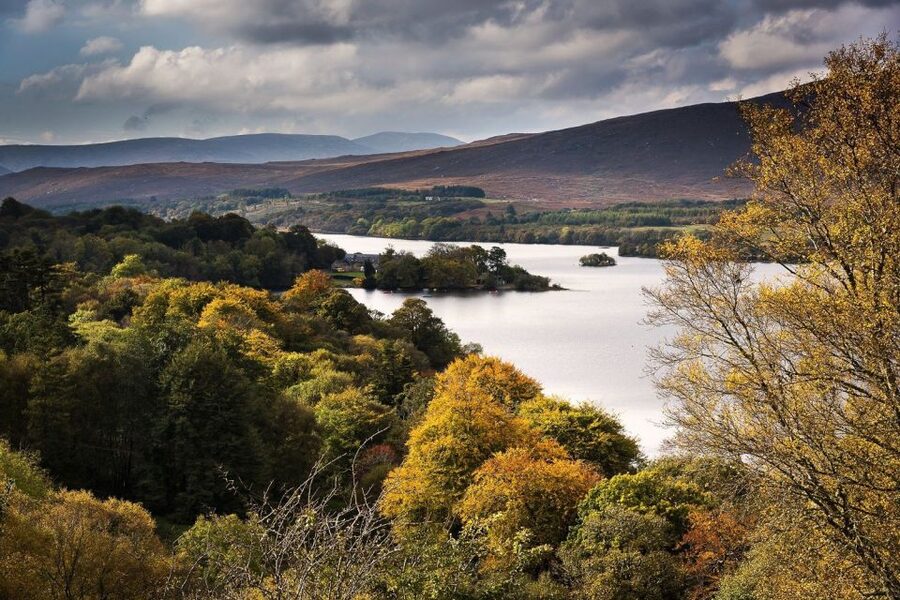 Best of Ireland 6-Day Backpackers Economy Tour - Antrim Coast to Derry, Dunluce Castle, Dark Hedges, and Rope Bridge Views