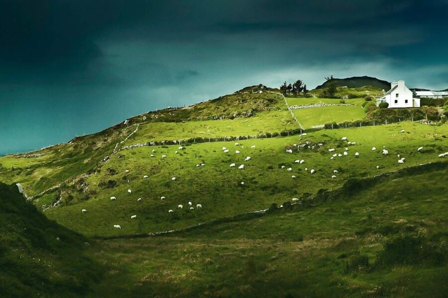 Best of Ireland 6-Day Backpackers Economy Tour - Dublin to Belfast, Titanic Belfast and a Night in the City