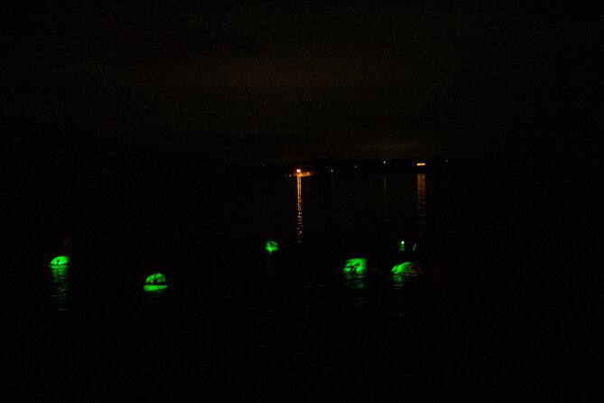 Bioluminescent Swim Experience in West Cork with Storytelling - Key things that make this bioluminescent swim worth it