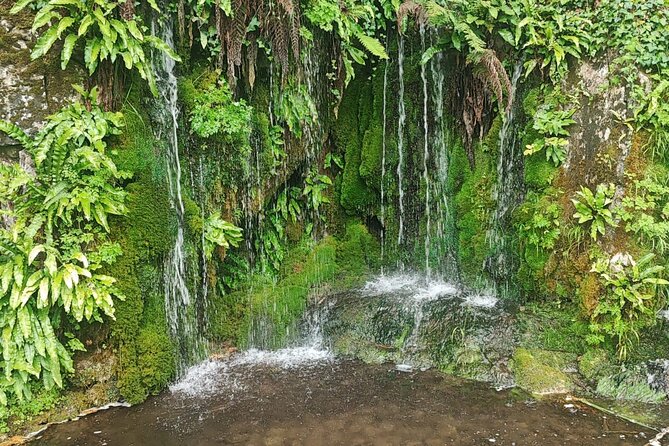 Blarney Castle Cork City and Jameson Distillery Small groups - Who this tour fits best, and who should pick something else
