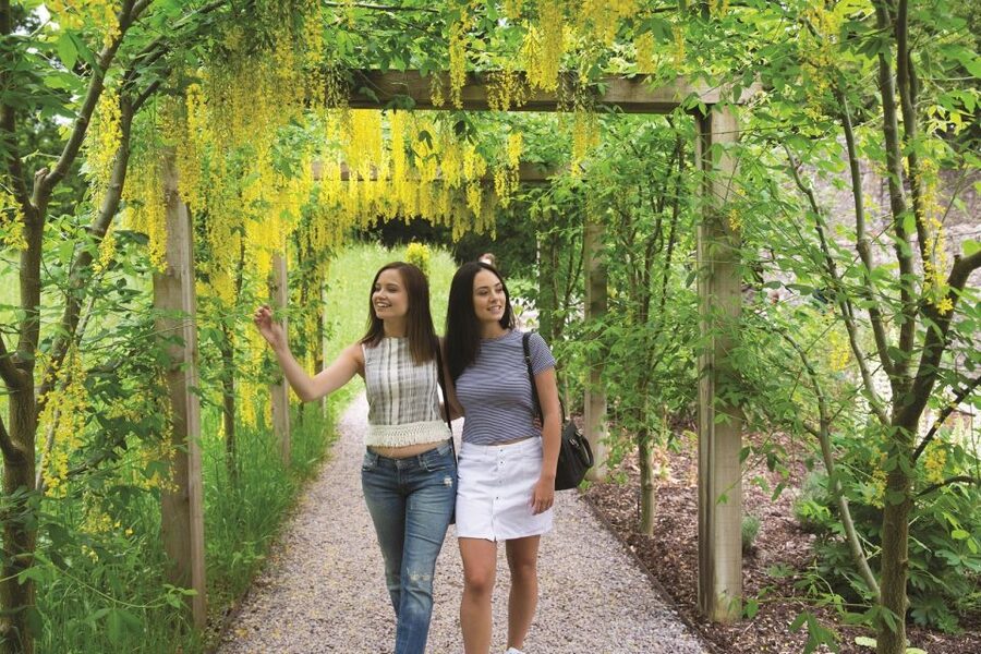 Blarney Castle Full-Day Tour from Dublin - Key things I’d watch for