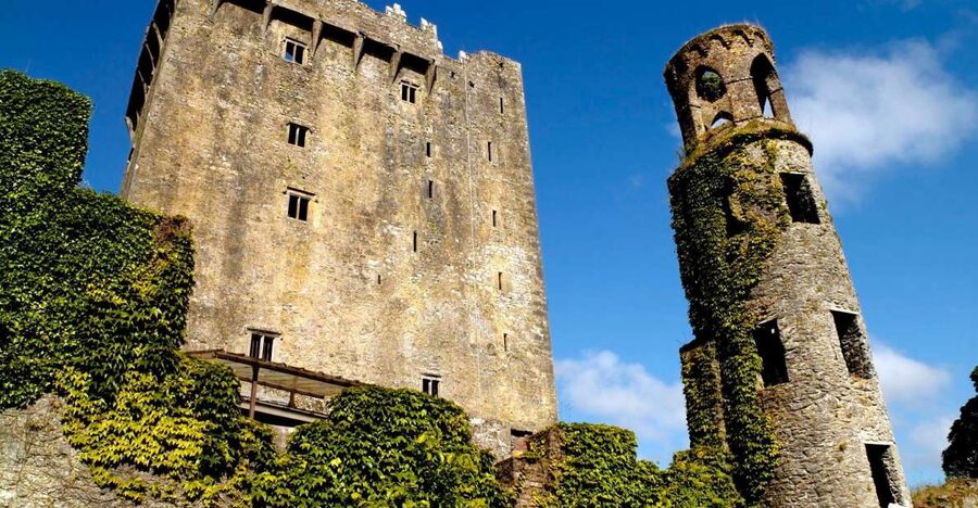 Blarney Castle Full-Day Tour from Dublin - Blarney Woollen Mills: Tax-Free Shopping Stop That’s Easy to Skip