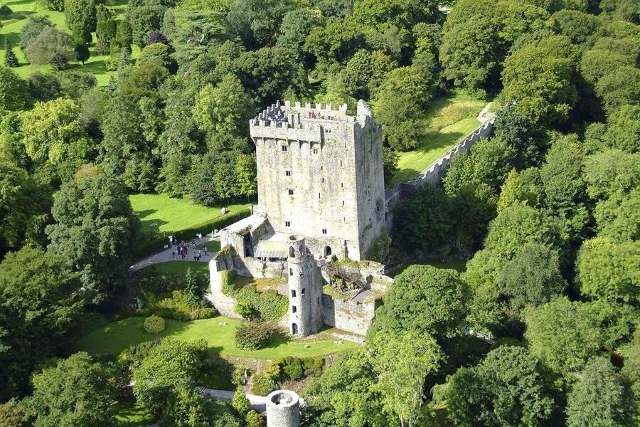 Blarney Castle Full-Day Tour from Dublin - Celtic Crosses and Round Tower: St Patrick-Style Time Travel