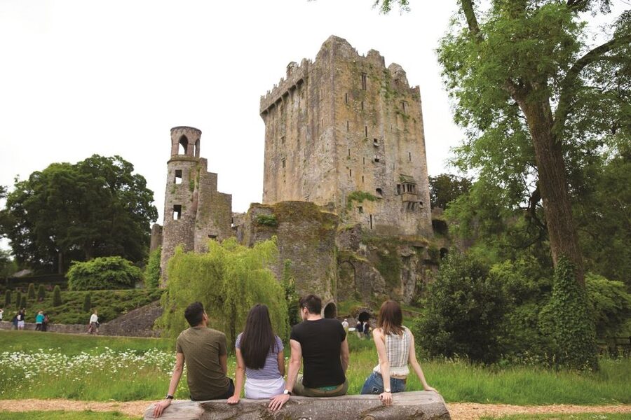 Blarney Castle Full-Day Tour from Dublin - Cork Free Time on the River Lee: English Market or St Finbarre’s