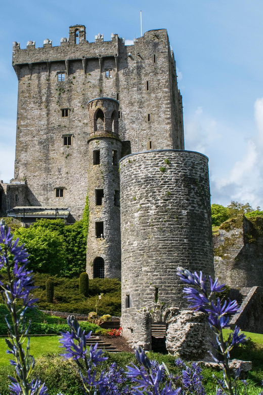 Blarney Castle: Private Guided Day Tour from Dublin - The smart reason to pair Rock of Cashel with Blarney Castle