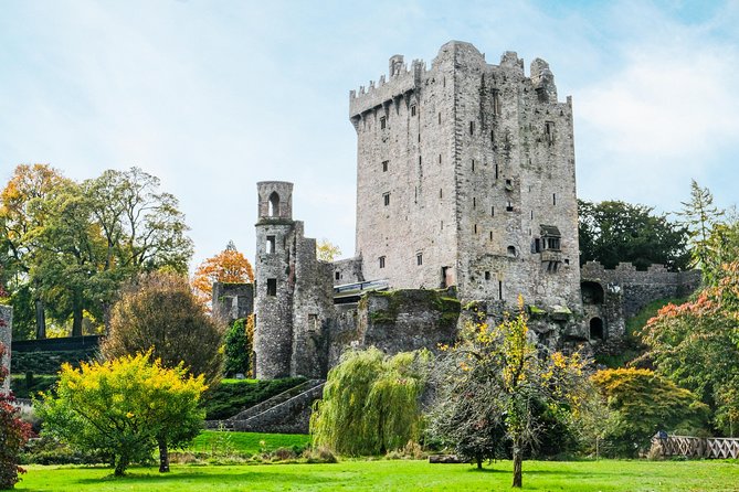 Blarney, Rock of Cashel & Cahir Castles Day Tour From Dublin - Blarney Castle and gardens: legend, steps, and real-world waiting