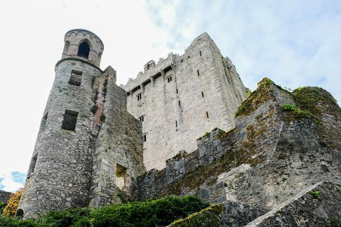Blarney, Rock of Cashel & Cahir Castles Day Tour From Dublin - Who should book this, and who should skip it