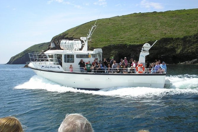 Blasket Island Eco Tour. - Key highlights you’ll care about