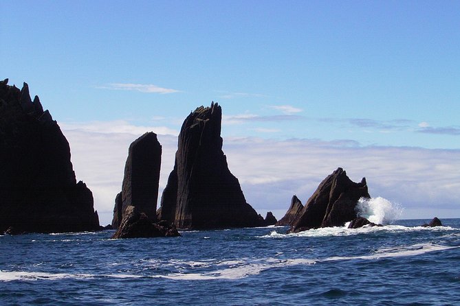 Blasket Island Eco Tour. - The cliffs, rock formations, and geology of the Dingle Peninsula: why the scenery matters