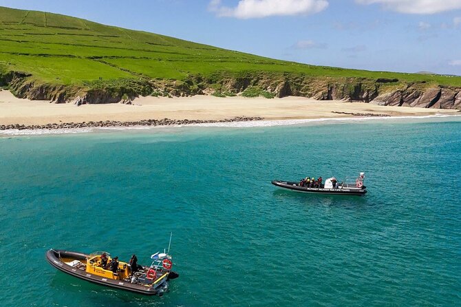 Blasket Island Sea Life Rib Tour, - Key highlights you should know before you go