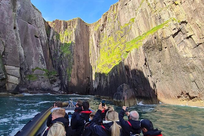 Blasket Island Sea Life Rib Tour, - Dingle Bay by RIB, fast enough to feel the coast