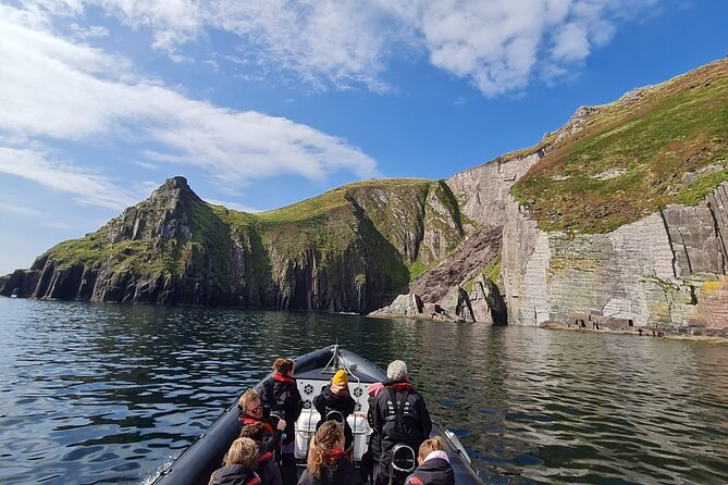 Blasket Island Sea Life Rib Tour, - Price and value: why $116.14 can make sense