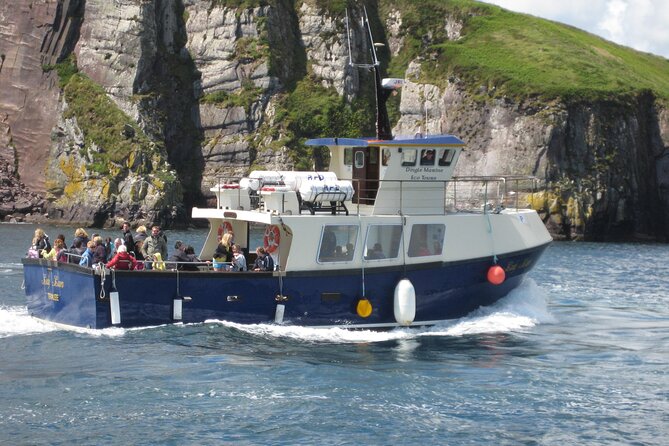 Boat Tour of Dingle Peninsula - Quick Take: What Makes This Boat Tour Worth Your Time