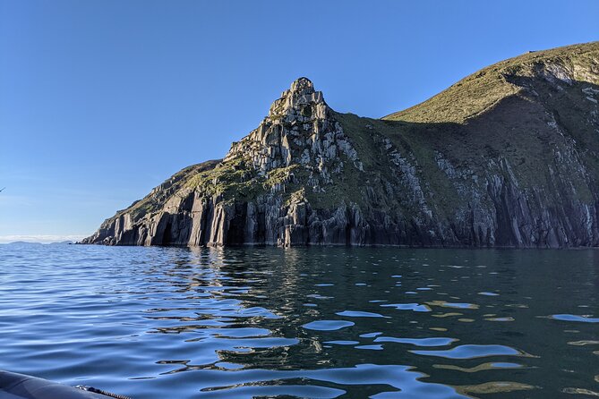 Boat Tour of Dingle Peninsula - Dingle Marina to the Cliffs: A 1-Hour Plan That Fits Any Day